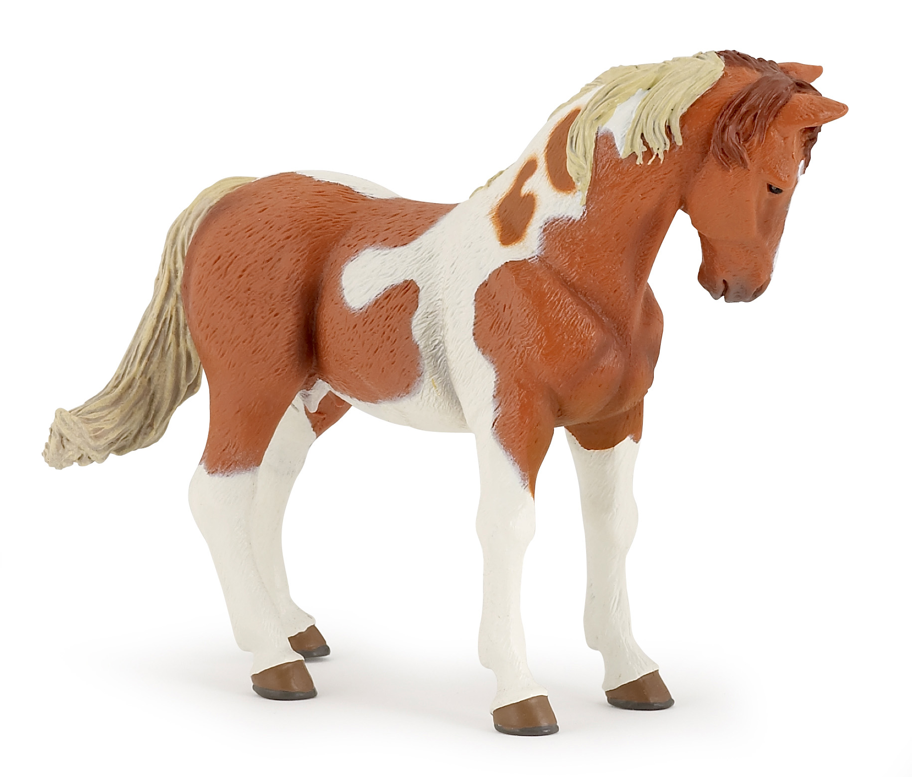 Jument pinto - PAPO - 51094