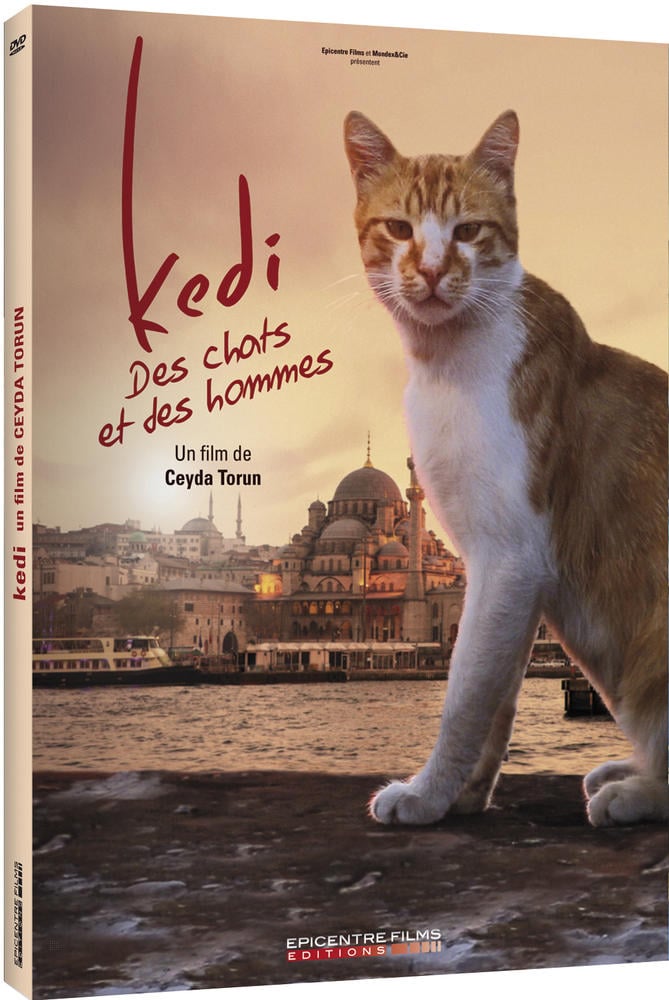 Kedi - Des chats et des hommes