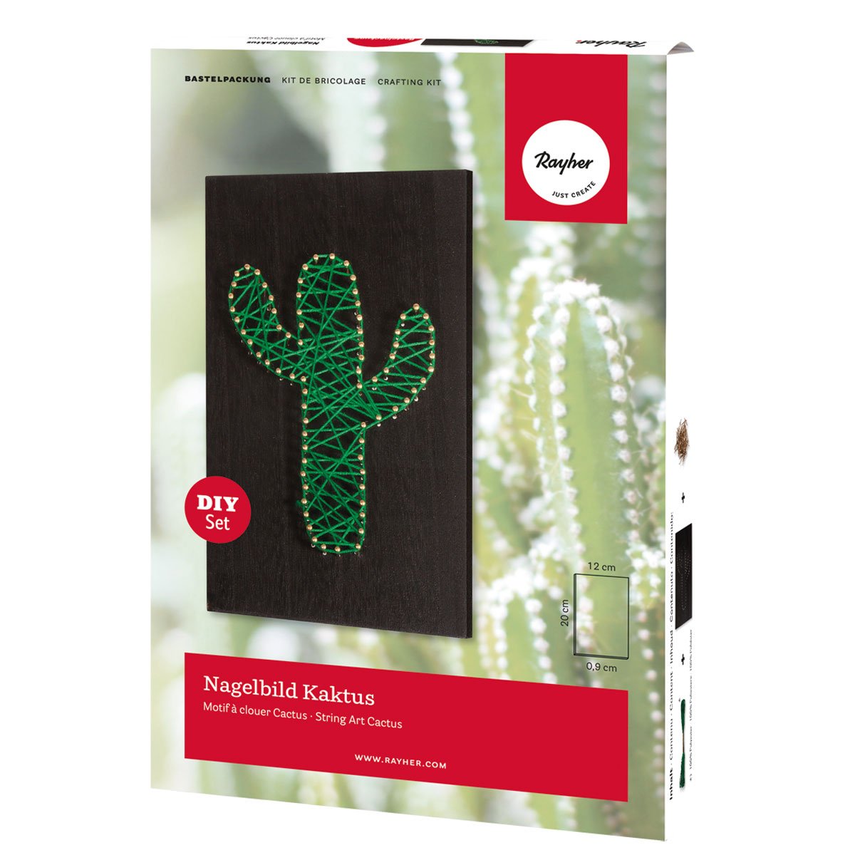 Kit de bricolage - Motif à clouer - Cactus