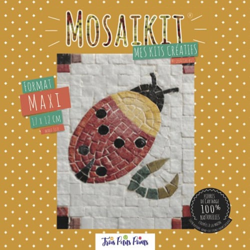 Kit mosaïque Maxi Coccinelle - 12x17 cm