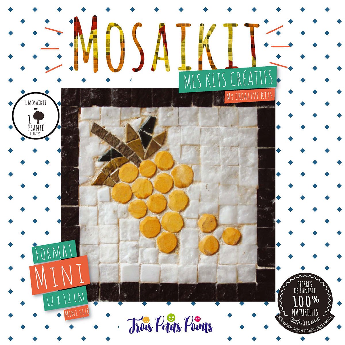 Kit mosaïque mini - Raisin - 12 x 12 cm
