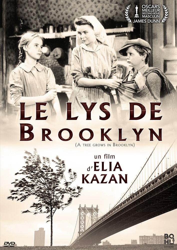 LE LYS DE BROOKLYN