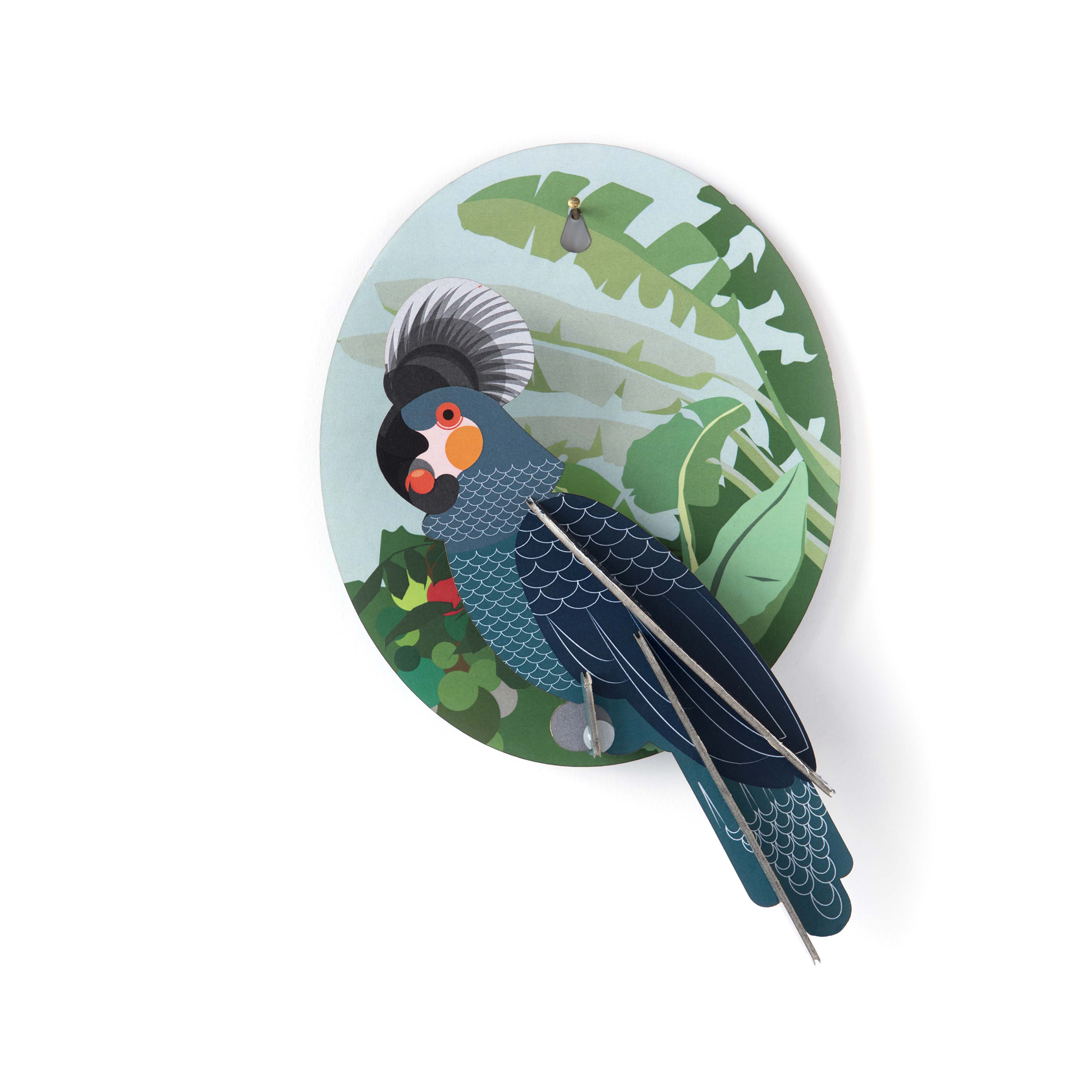 Le perroquet malin à construire