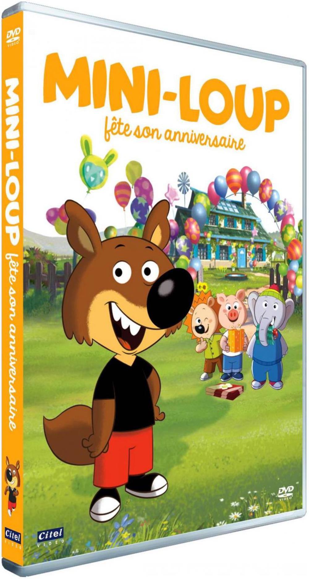 MINI-LOUP, VOL 2 : MINI-LOUP FETE SON ANNIVERSAIRE