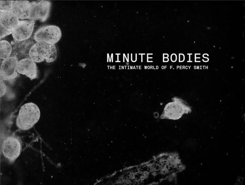 MINUTE BODIES THE INTIMATE WORLD OF