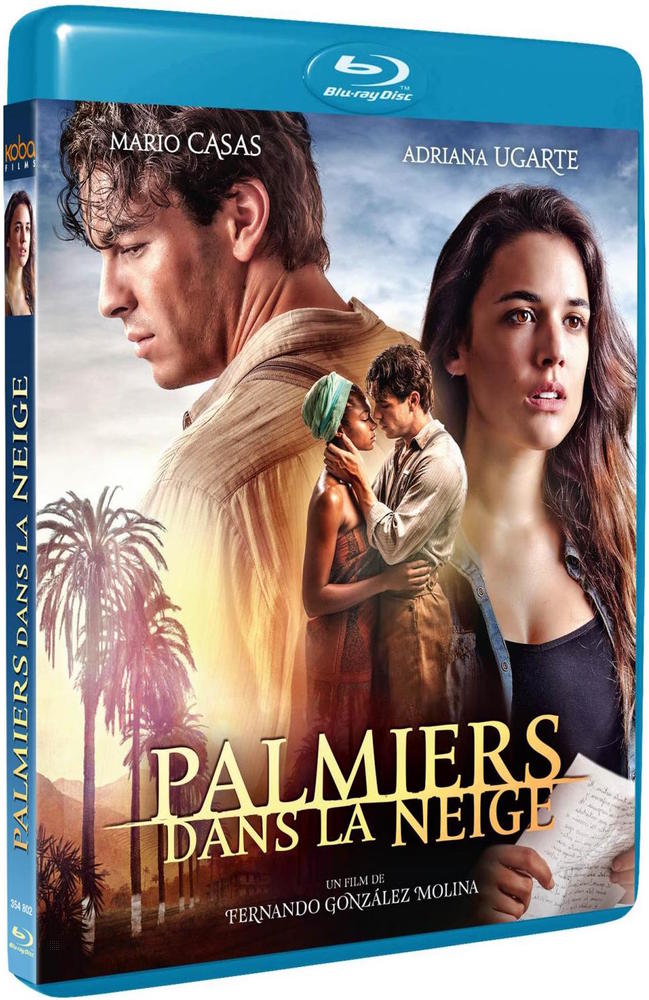 PALMIERS DANS LA NEIGE