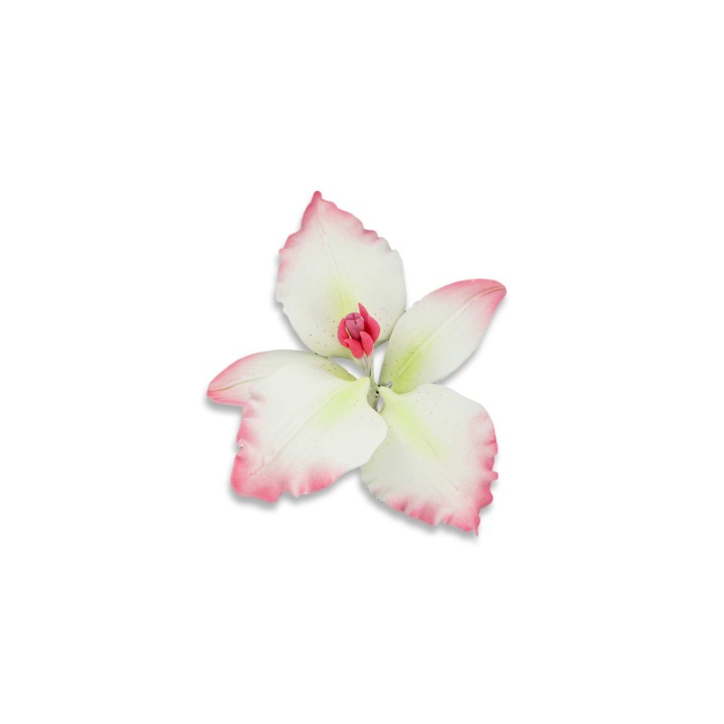 Lys oriental en pastillage - Gatodéco