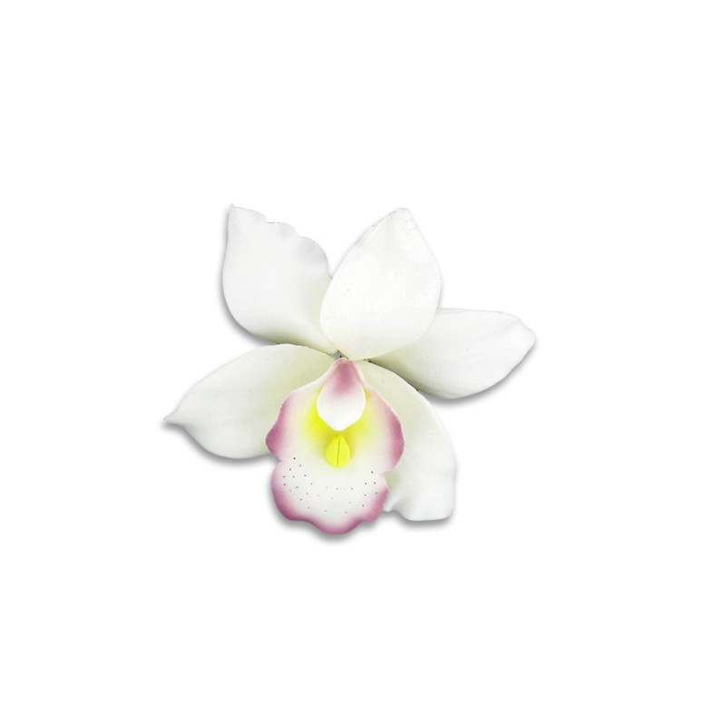 Orchidée blanche en pastillage - Gatodéco