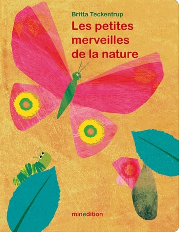 Les petites merveilles de la nature