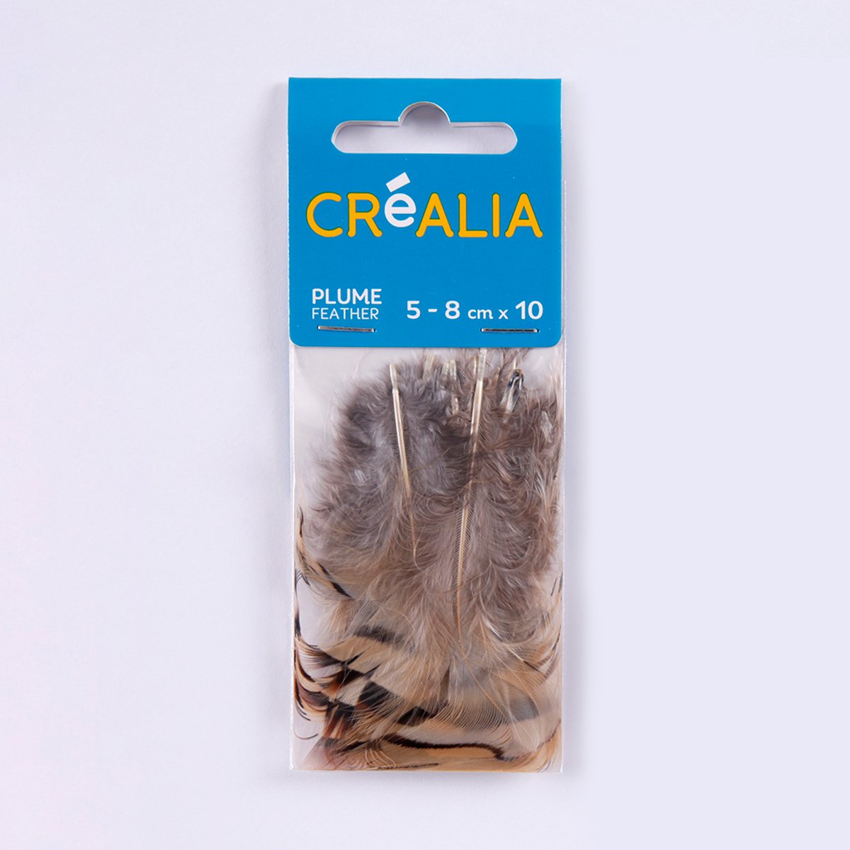 10 plumes de faisan - beigees - Créalia