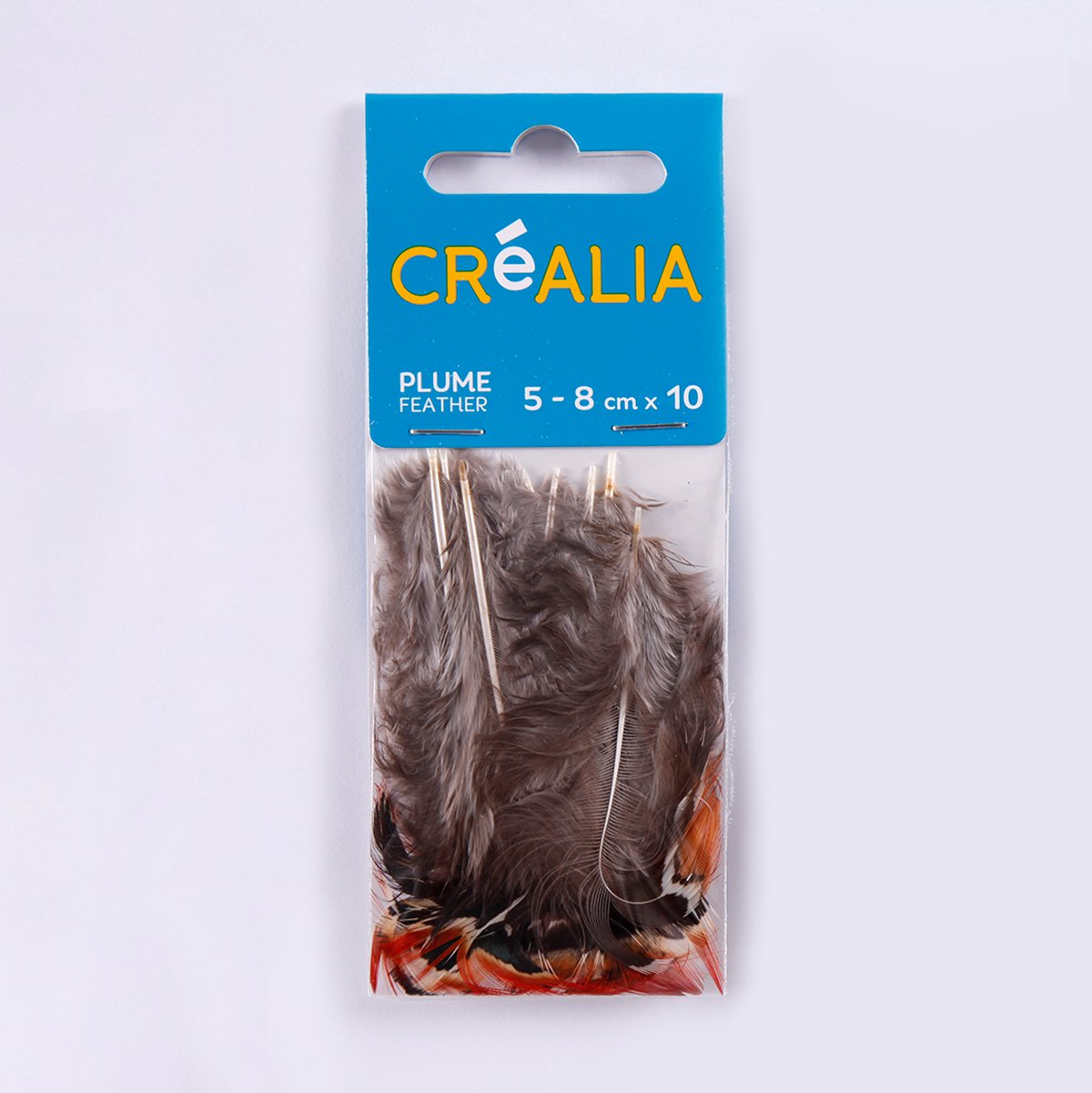 10 plumes de faisan - brique - Créalia