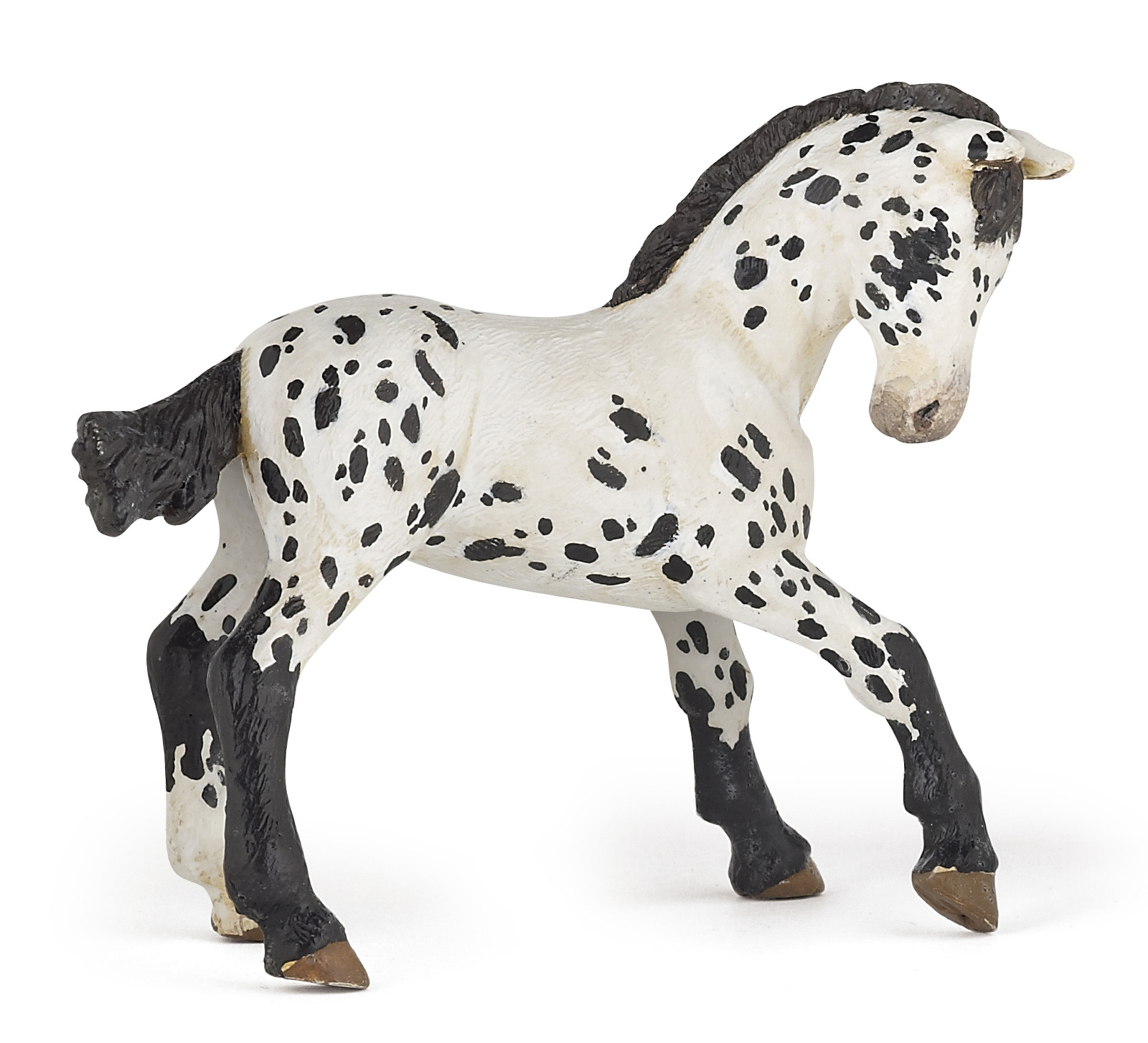 Poulain appaloosa noir - PAPO - 51540