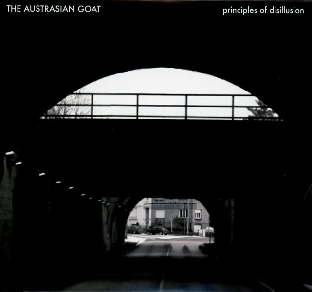 PRINCIPLES OF DISILLUSION