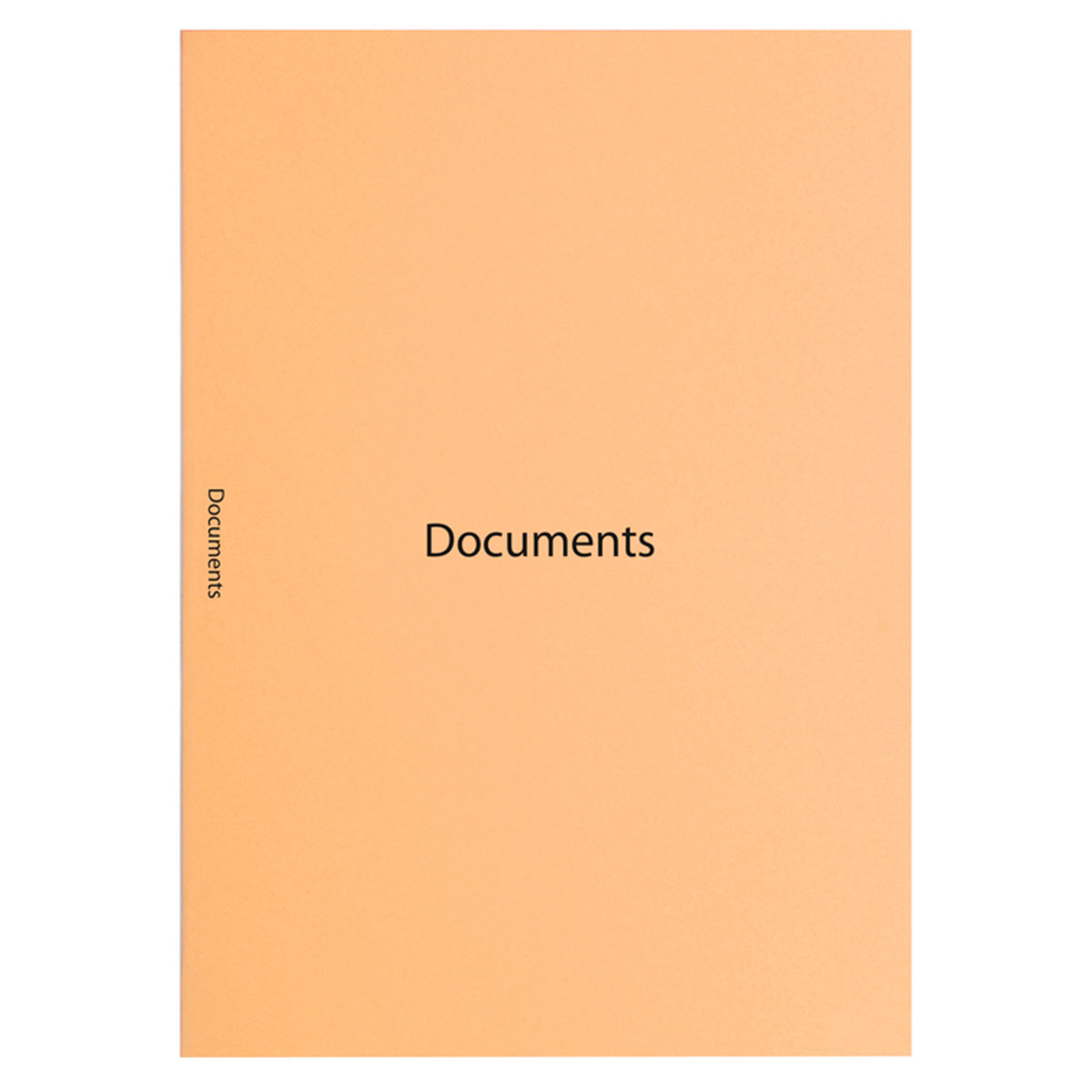 Pochette 40 sous-chemises - Documents - Exacompta