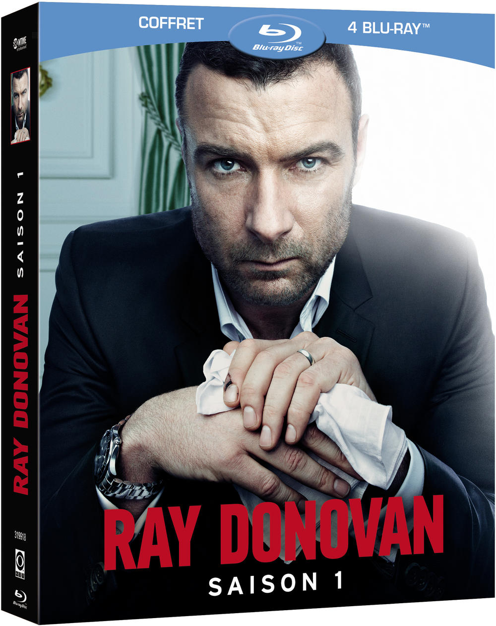 RAY DONOVAN SAISON 1