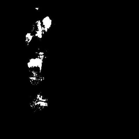 RED HORSE WHITE MULE