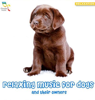 RELAXING MUSIC FOR DOGS