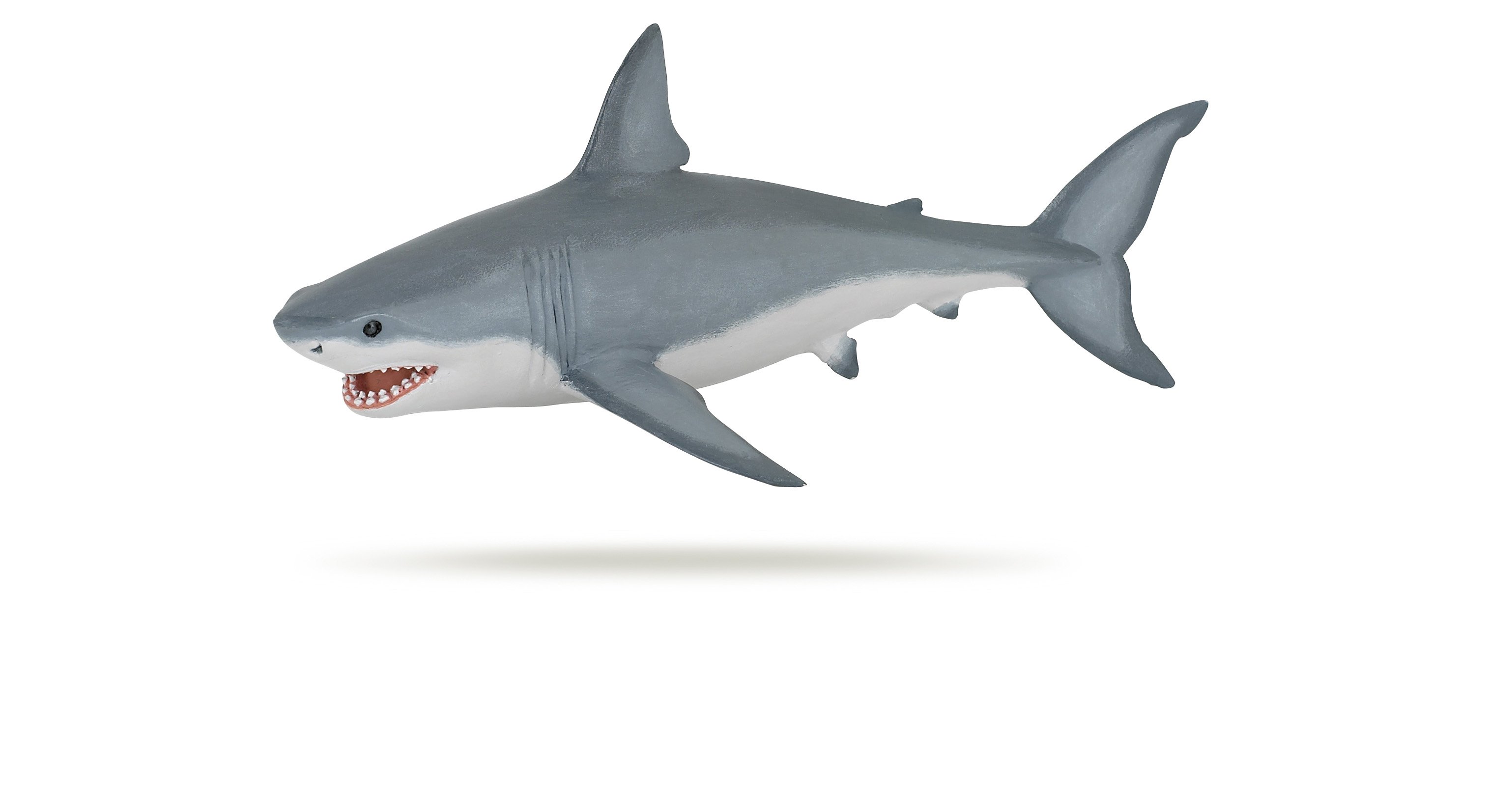 Requin blanc - PAPO - 56002