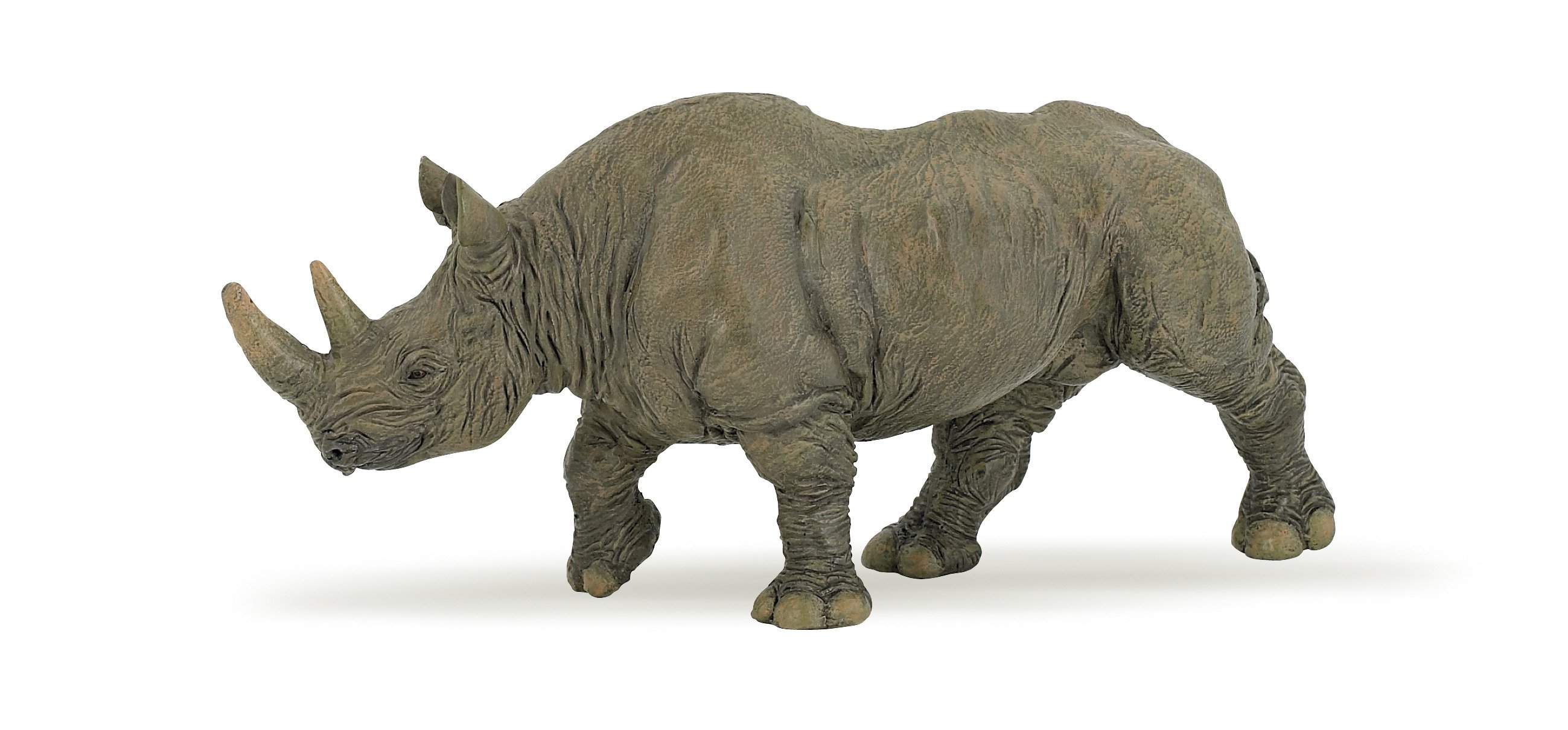 Rhinocéros noir - PAPO - 50066