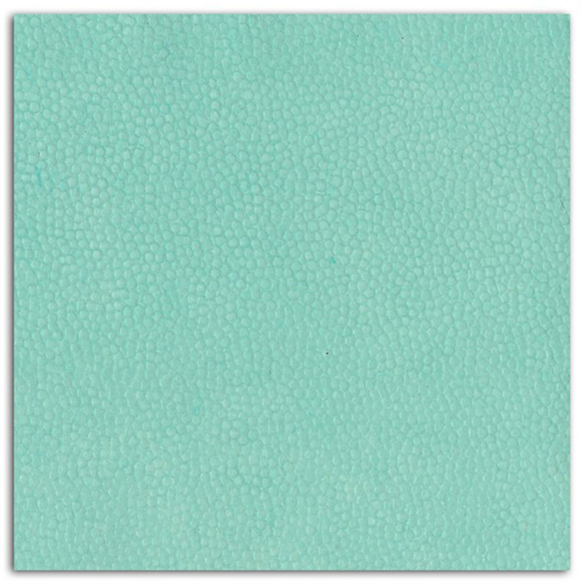 1 feuille de papier recyclé – 38x56cm – Cuir Vert d'eau – L'Or de Bombay