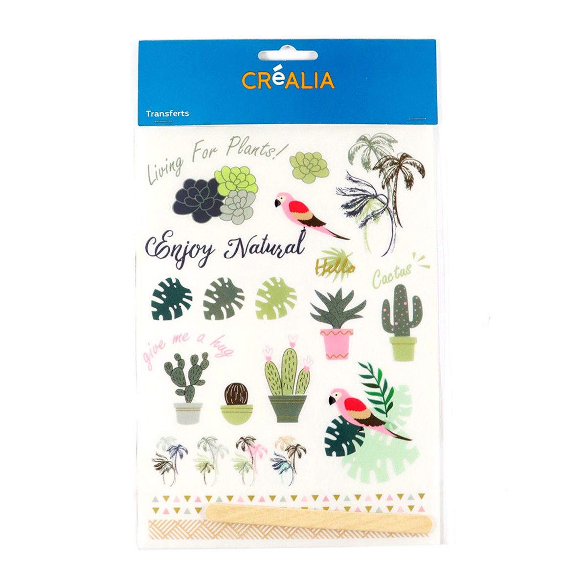 Rub on cactus - Créalia