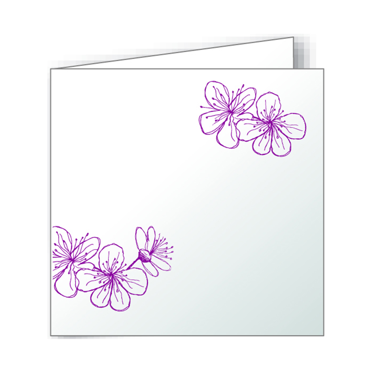 10 cartes doubles Pollen 160x160mm - recto fleurs framboises