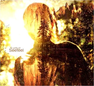 SEEFEEL