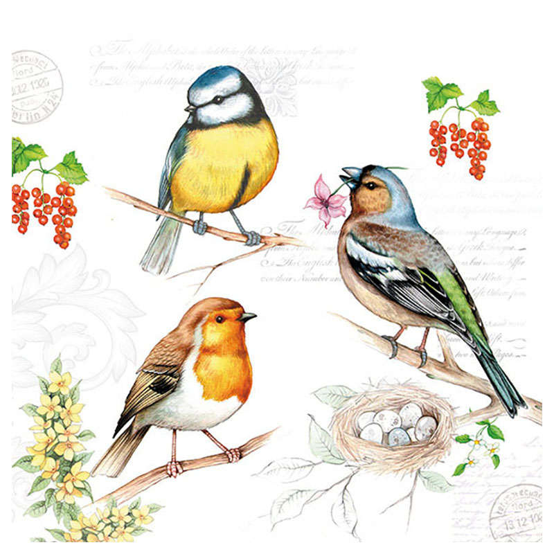 20 serviettes oiseaux sur branche - 33x33 cm