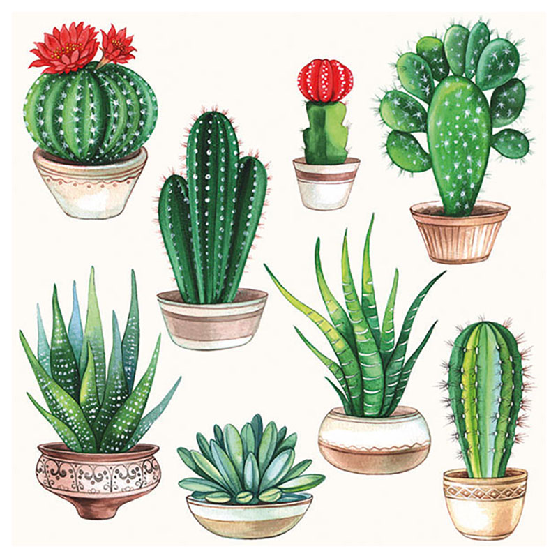 20 serviettes petits cactus - 33x33 cm