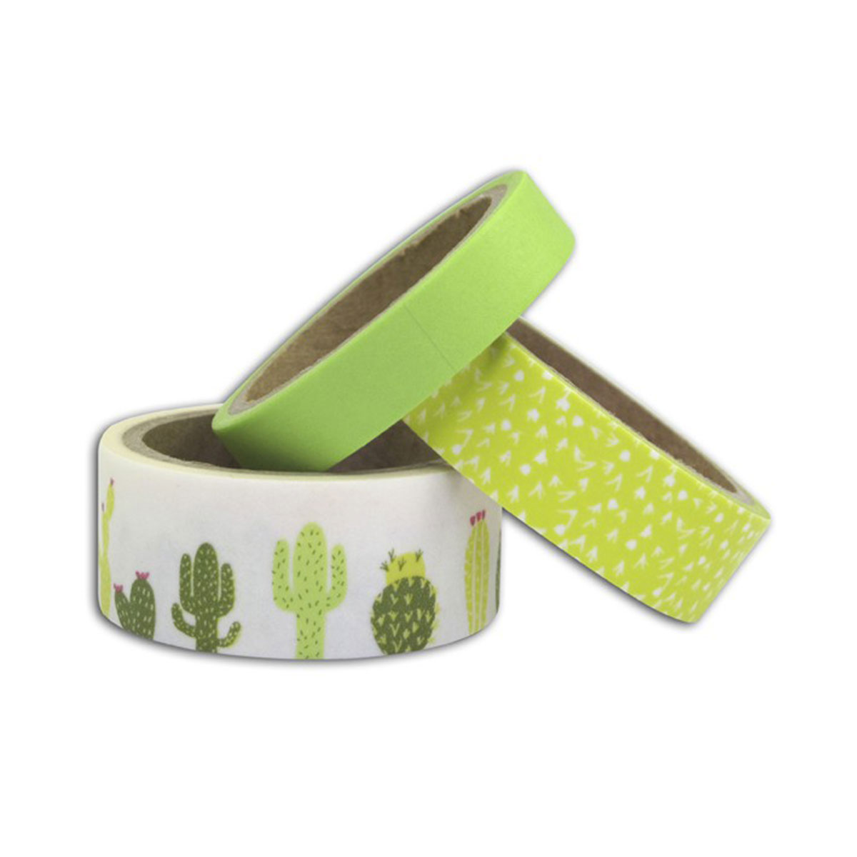 Lot de 3 rubans de Masking Tape de 5m - Cactus