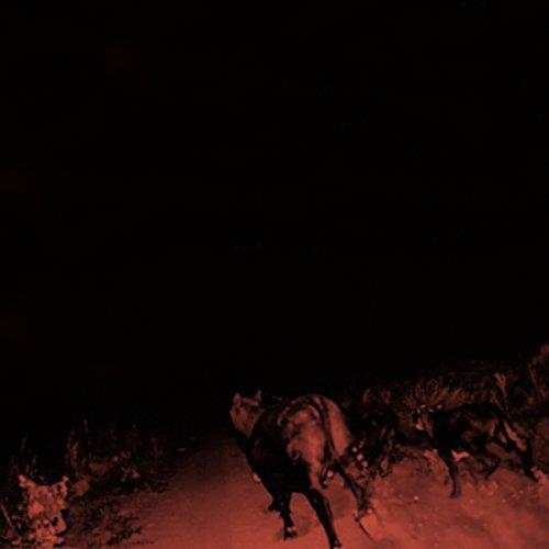 SHADOW ON EVERYTHING