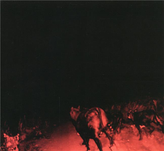 SHADOW ON EVERYTHING