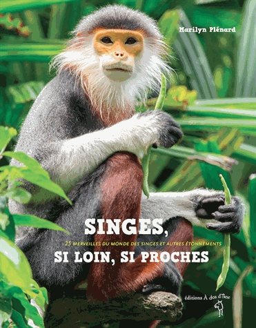 Singes, si loin, si proches - 25 merveilles du monde des singes et autres étonnements