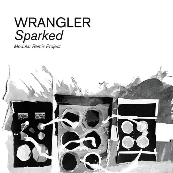 SPARKED: MODULAR REMIX PROJECT