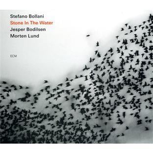 Stone in the water - Stefano Bollani