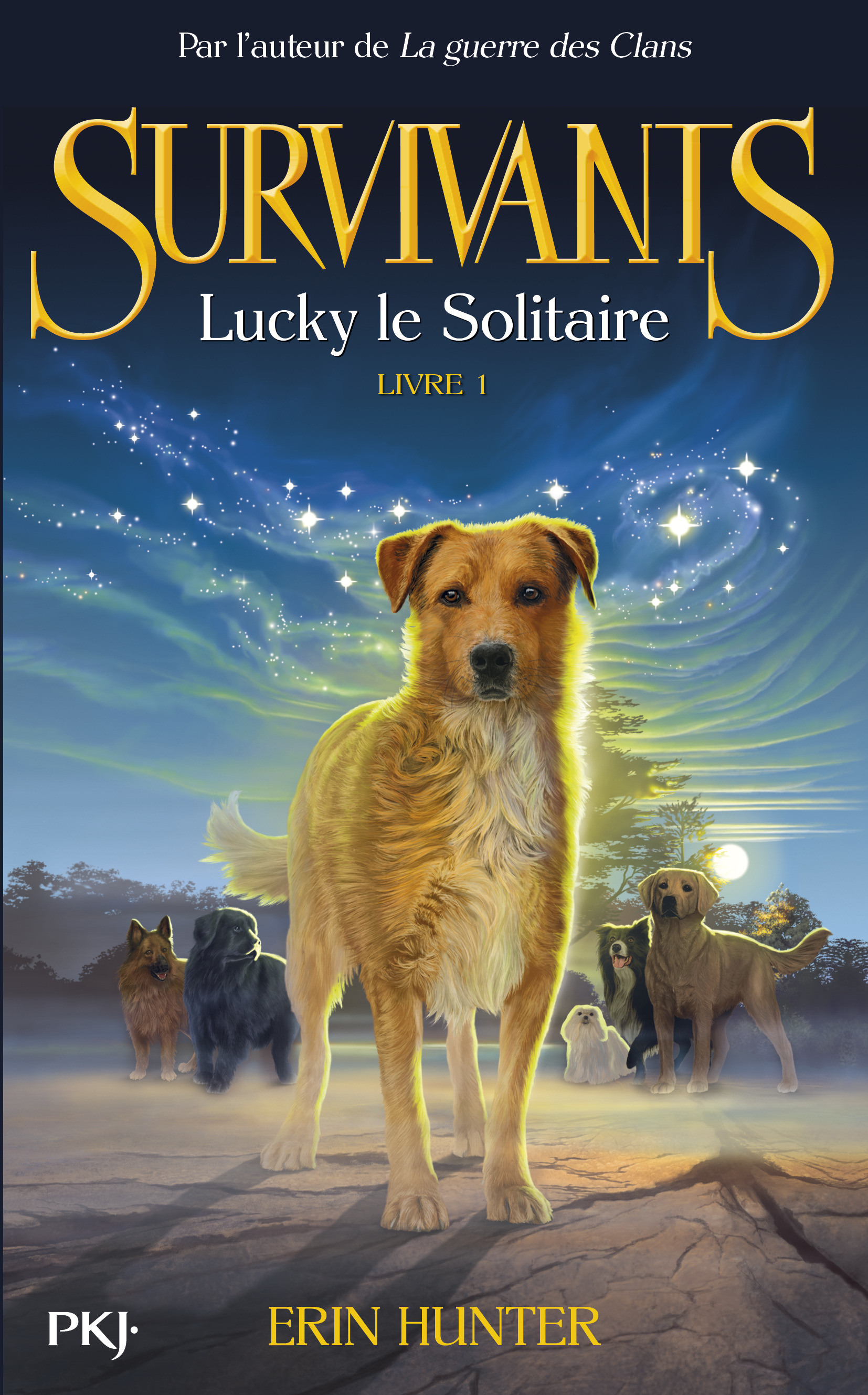 Survivants Tome 1 - Lucky le solitaire