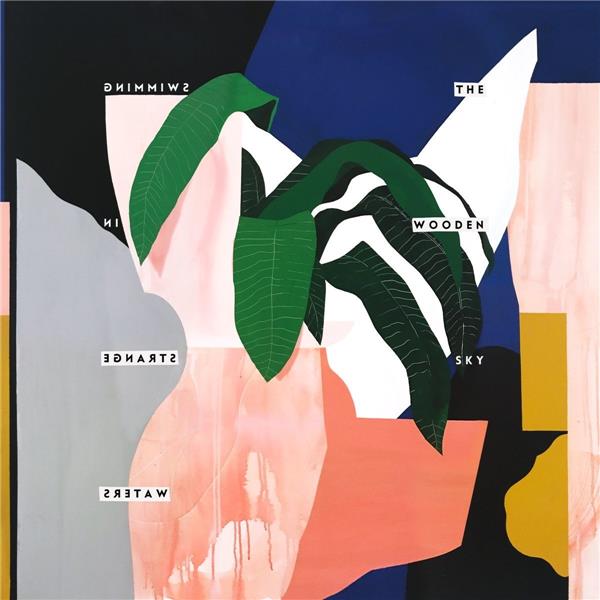 SWIMMING IN STRANGE WATERS