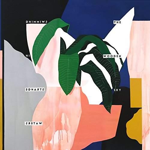 SWIMMING IN STRANGE WATERS