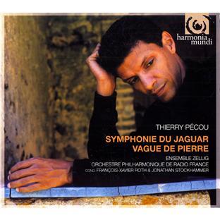 SYMPHONIE DU JAGUAR - VAGUE DE PIERRE