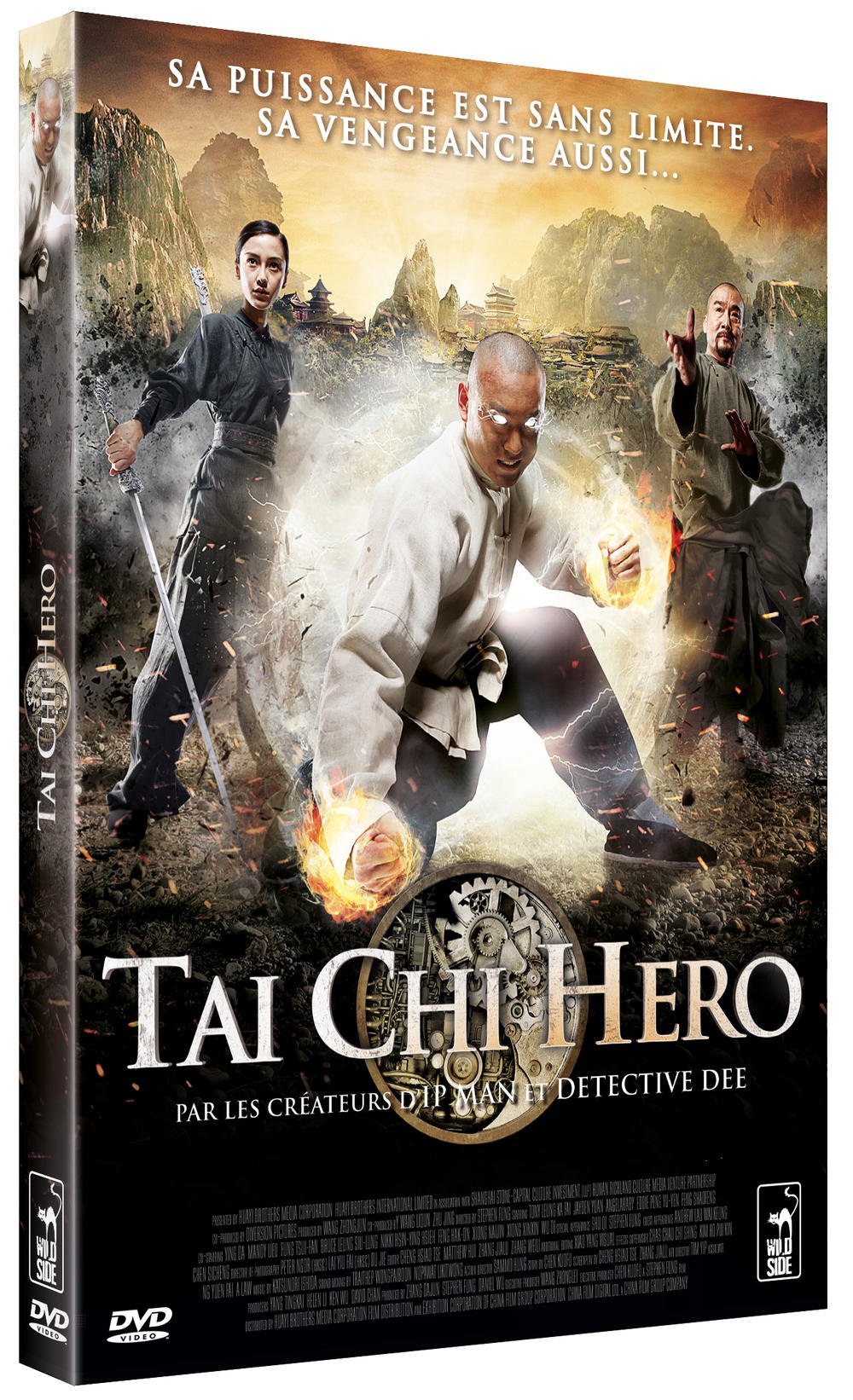 TAI CHI HERO