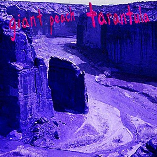 TARANTULA