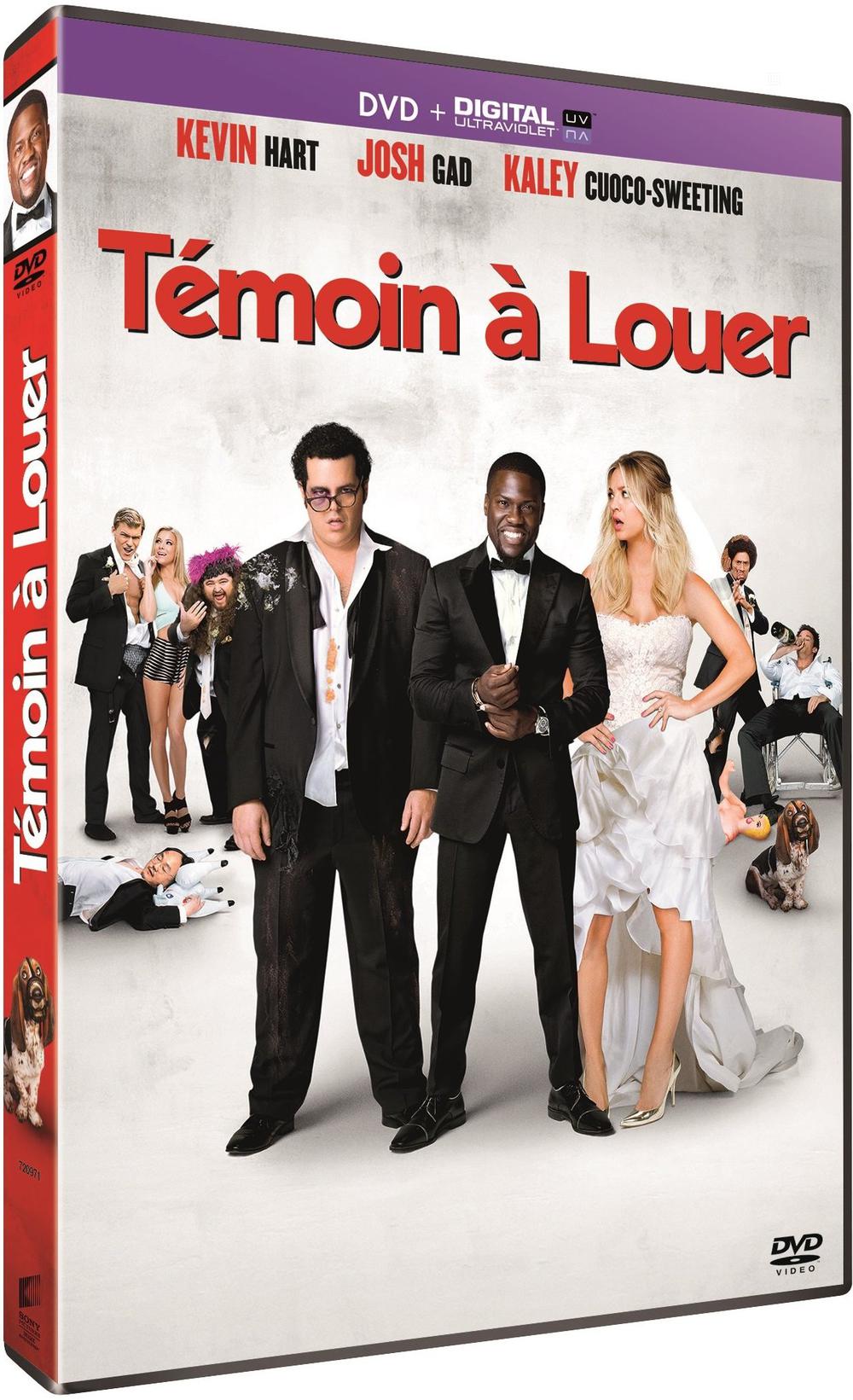 TEMOIN A LOUER