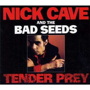 TENDER PREY (ED COLLECTOR)
