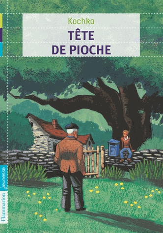 Tête de pioche