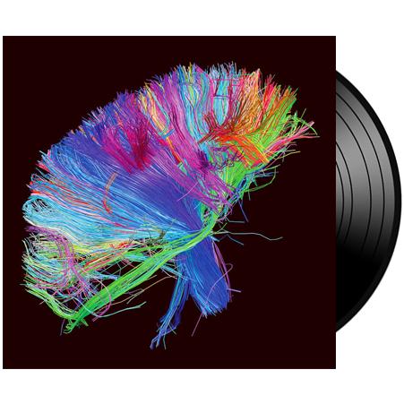 THE 2ND LAW - Vinyle 2LP 180g