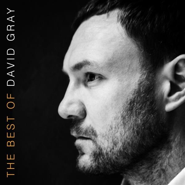 THE BEST OF DAVID GRAY