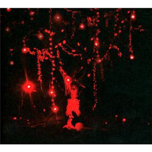 THE DANGER OF LIGHT EDITION LIMITEE