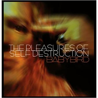 THE PLEASURES OF SELF DESTRUCTION