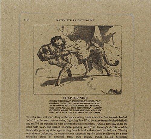 THE PRETTY LITTLE LIGHTNING PAW