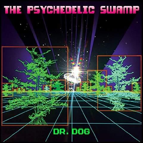 THE PSYCHEDELIC SWAMP